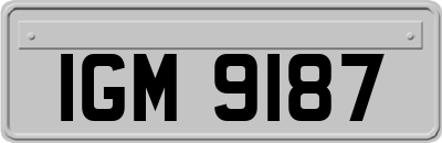 IGM9187
