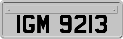 IGM9213