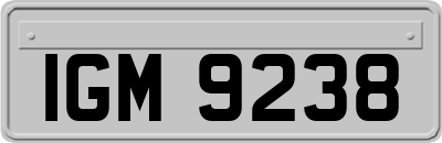 IGM9238