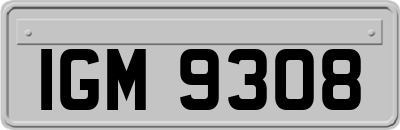 IGM9308