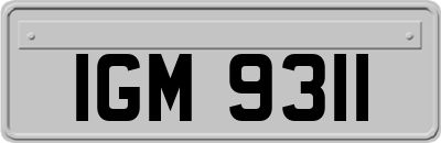 IGM9311