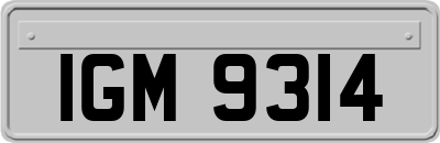 IGM9314