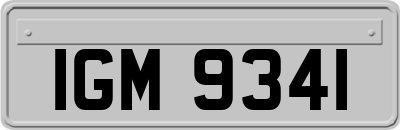 IGM9341