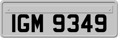 IGM9349