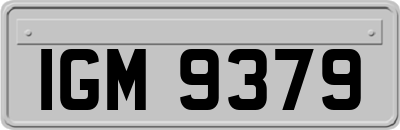 IGM9379