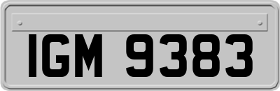 IGM9383