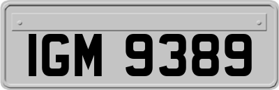IGM9389
