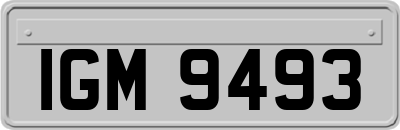 IGM9493