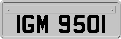 IGM9501