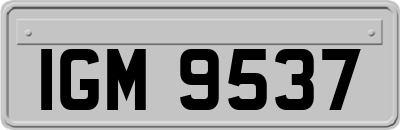 IGM9537
