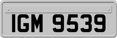 IGM9539