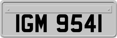 IGM9541