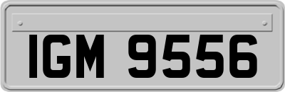 IGM9556