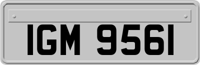 IGM9561