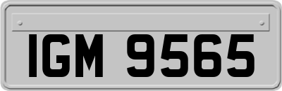 IGM9565