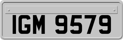 IGM9579