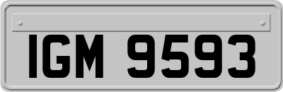 IGM9593