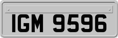 IGM9596