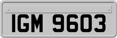 IGM9603