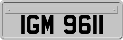 IGM9611