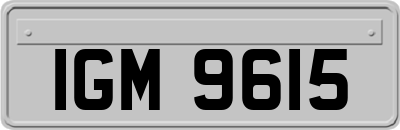 IGM9615