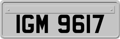 IGM9617