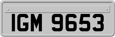 IGM9653
