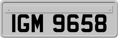 IGM9658
