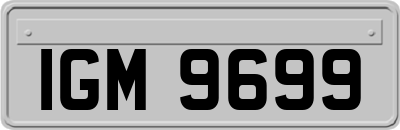 IGM9699