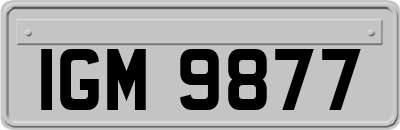 IGM9877