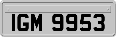IGM9953
