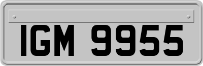 IGM9955