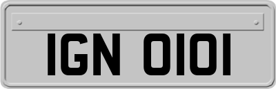 IGN0101