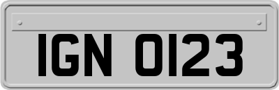 IGN0123