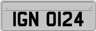 IGN0124