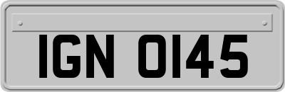 IGN0145