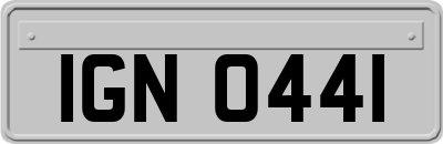 IGN0441