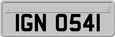 IGN0541