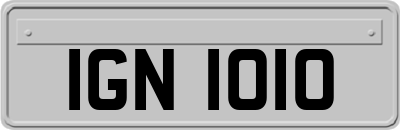 IGN1010