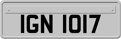 IGN1017
