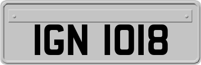 IGN1018