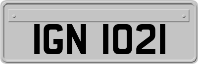 IGN1021
