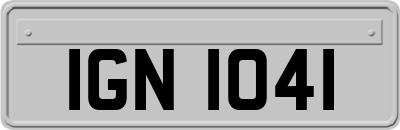 IGN1041