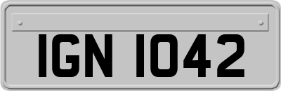 IGN1042