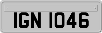 IGN1046