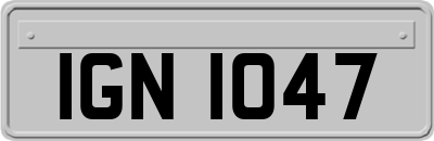 IGN1047