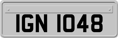 IGN1048