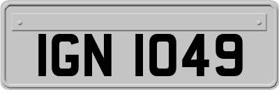 IGN1049