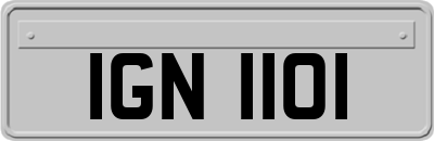 IGN1101