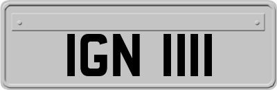IGN1111